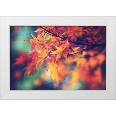 Fall Leaves White Modern Wood Framed Art Print by Cook, Sylvia