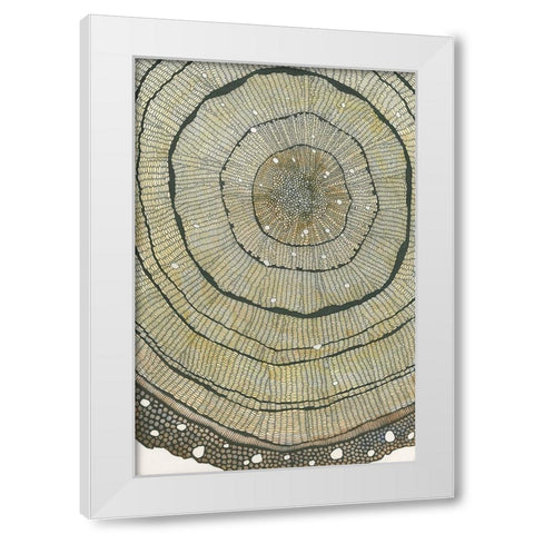 Fir White Modern Wood Framed Art Print by Pellisier, Sandrine