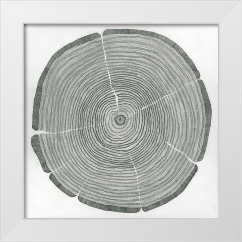 Time Lines White Modern Wood Framed Art Print by Pelliser, Sandrine