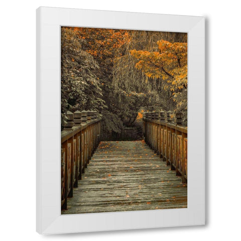 Across the Bridge White Modern Wood Framed Art Print by Schwartz, Don