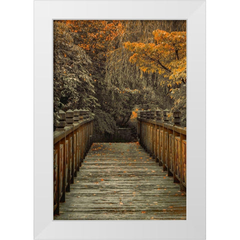Across the Bridge White Modern Wood Framed Art Print by Schwartz, Don