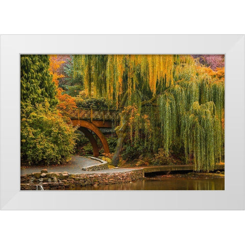 Willows Over the Pond White Modern Wood Framed Art Print by Schwartz, Don