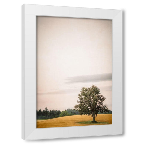 Tree in the Rolling White Modern Wood Framed Art Print by Schwartz, Don