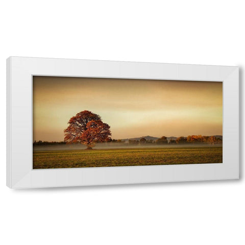 Touched by Fog White Modern Wood Framed Art Print by Schwartz, Don