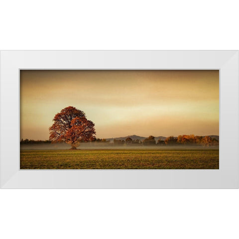 Touched by Fog White Modern Wood Framed Art Print by Schwartz, Don