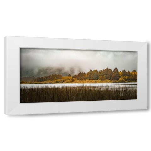 Lakeside Burst  White Modern Wood Framed Art Print by Schwartz, Don