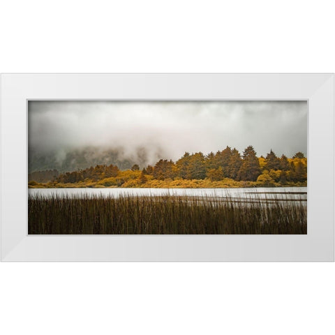 Lakeside Burst  White Modern Wood Framed Art Print by Schwartz, Don