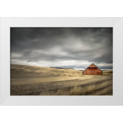 Old Barn in the Winter Field White Modern Wood Framed Art Print by Schwartz, Don