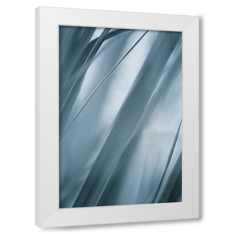 Blades of Grass  White Modern Wood Framed Art Print by Schwartz, Don