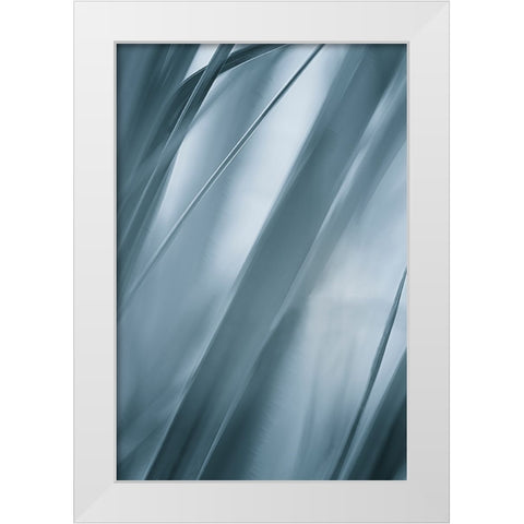 Blades of Grass  White Modern Wood Framed Art Print by Schwartz, Don