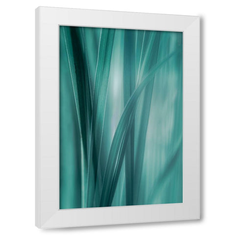 Summer Grasses  White Modern Wood Framed Art Print by Schwartz, Don