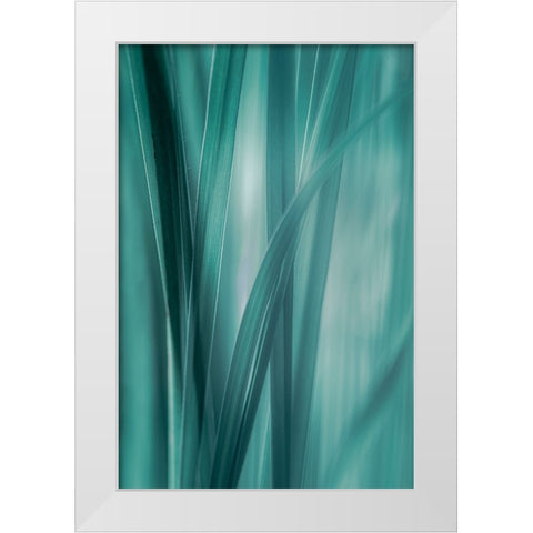 Summer Grasses  White Modern Wood Framed Art Print by Schwartz, Don