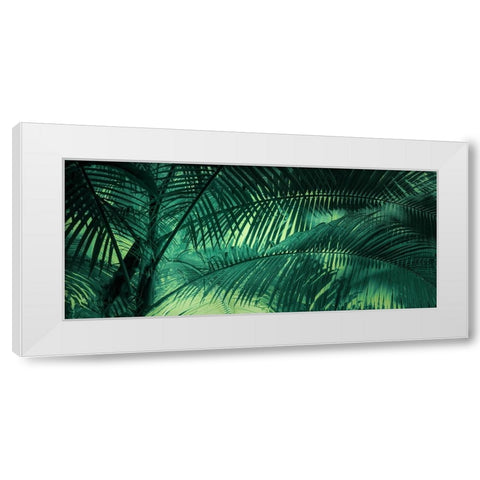 A Sunkissed Palms White Modern Wood Framed Art Print by Schwartz, Don
