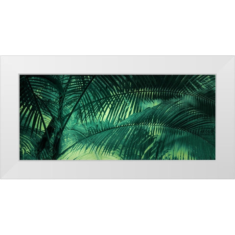 A Sunkissed Palms White Modern Wood Framed Art Print by Schwartz, Don