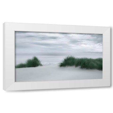 View Through the Dune Grasses White Modern Wood Framed Art Print by Schwartz, Don