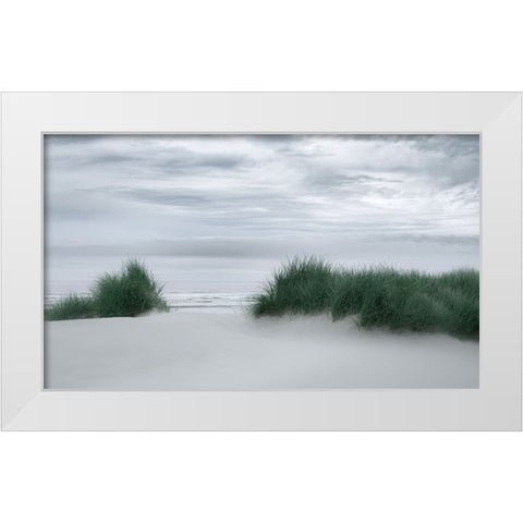 View Through the Dune Grasses White Modern Wood Framed Art Print by Schwartz, Don