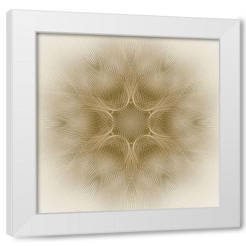 Sunbeam Flower White Modern Wood Framed Art Print by Petra Trimmel