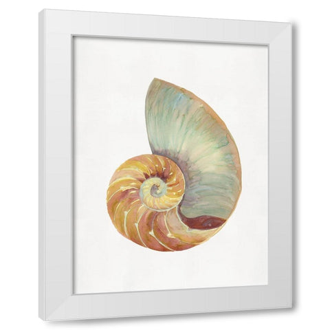 Nautilus Shell I  White Modern Wood Framed Art Print by Stellar  Design Studio