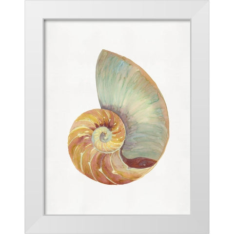 Nautilus Shell I  White Modern Wood Framed Art Print by Stellar  Design Studio