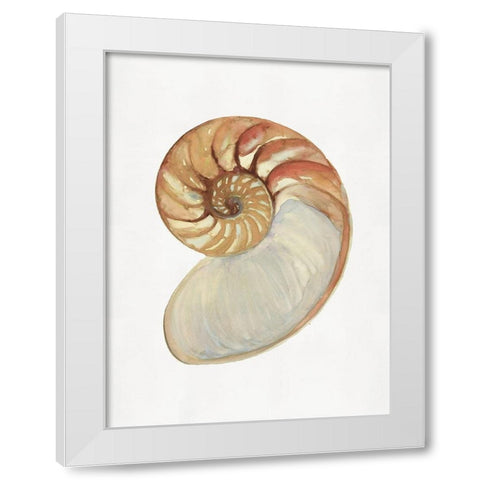 Nautilus Shell II  White Modern Wood Framed Art Print by Stellar  Design Studio