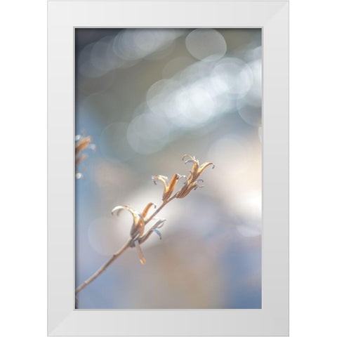 Spring Branch I  White Modern Wood Framed Art Print by J:L Design