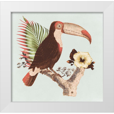 Tropical Toucan White Modern Wood Framed Art Print by Surma