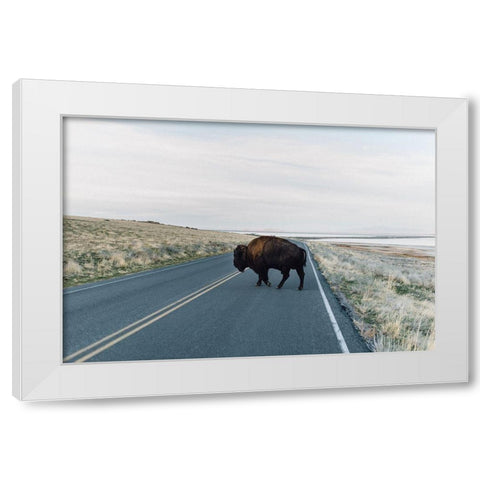 Bison Crossing  White Modern Wood Framed Art Print by Victoria, Chelsea