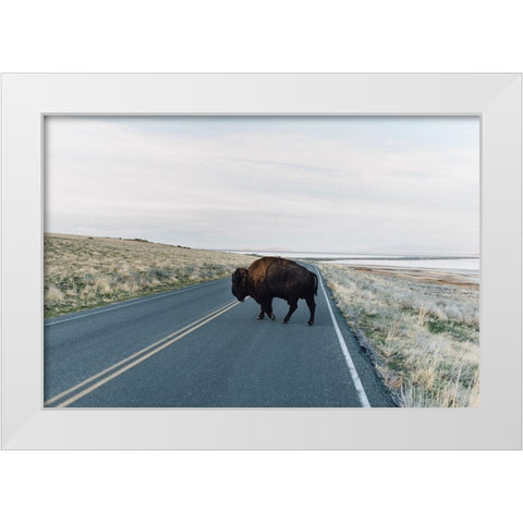 Bison Crossing  White Modern Wood Framed Art Print by Victoria, Chelsea