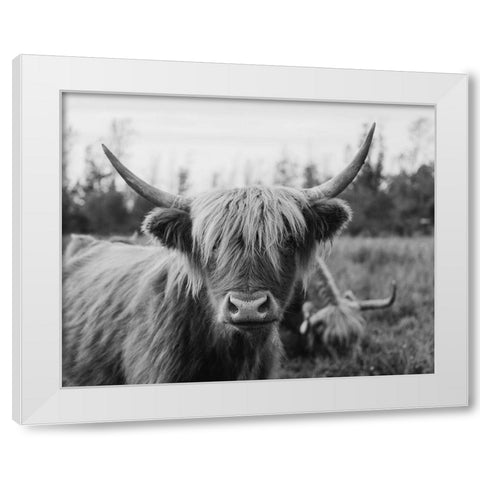 Cattle Smile  White Modern Wood Framed Art Print by Kedron, Chelsea