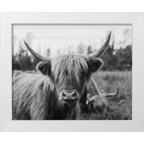 Cattle Smile  White Modern Wood Framed Art Print by Kedron, Chelsea