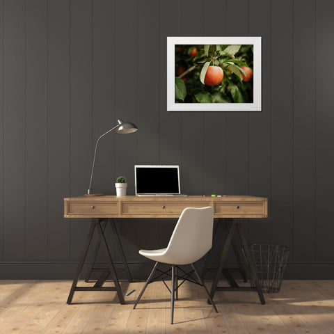 The Red Apple  White Modern Wood Framed Art Print by Kedron, Chelsea