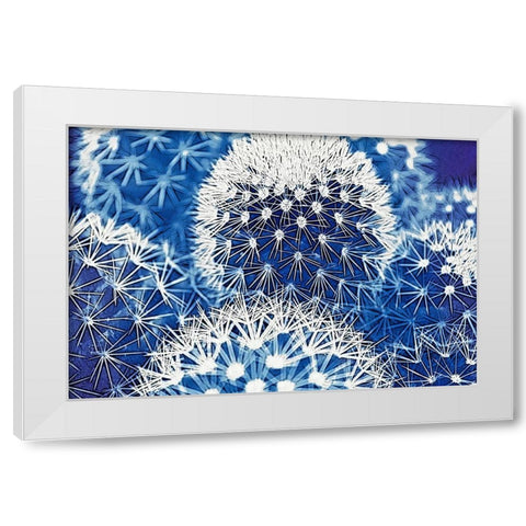 Blue and Prickly I White Modern Wood Framed Art Print by Vincze