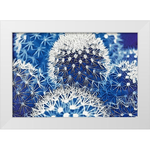 Blue and Prickly I White Modern Wood Framed Art Print by Vincze