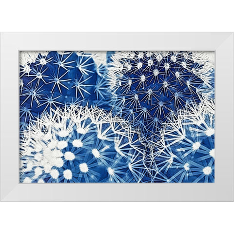 Blue and Prickly II  White Modern Wood Framed Art Print by Vincze