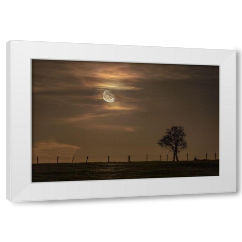 Moon Tree White Modern Wood Framed Art Print by Nocturna