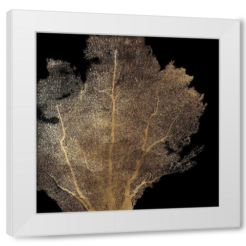 Honey Comb Coral I White Modern Wood Framed Art Print by Wilson, Aimee