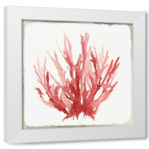 Red Coral I White Modern Wood Framed Art Print by Wilson, Aimee