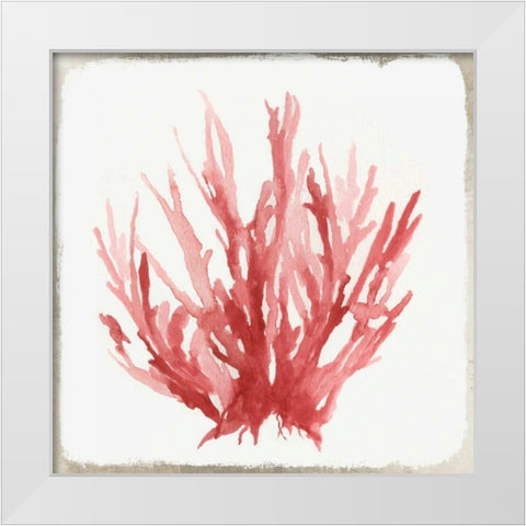 Red Coral I White Modern Wood Framed Art Print by Wilson, Aimee