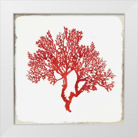 Red Coral II White Modern Wood Framed Art Print by Wilson, Aimee