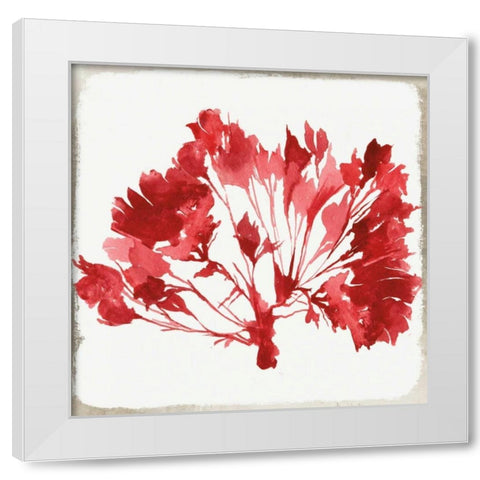 Red Coral IV White Modern Wood Framed Art Print by Wilson, Aimee