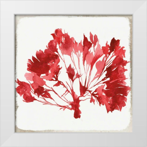 Red Coral IV White Modern Wood Framed Art Print by Wilson, Aimee