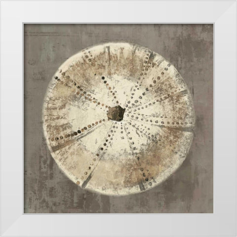 Sand Dollar I White Modern Wood Framed Art Print by Wilson, Aimee