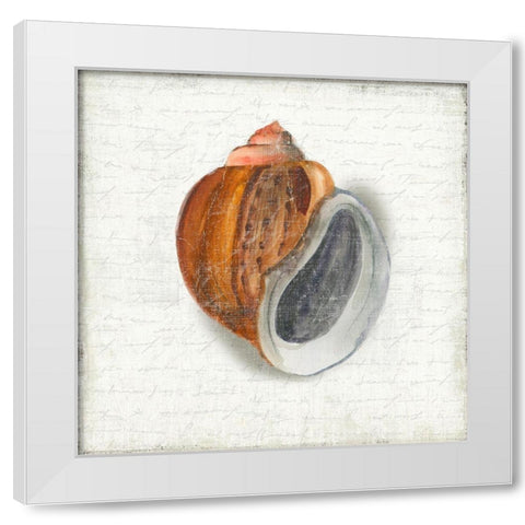 Seashell Portrait I White Modern Wood Framed Art Print by Wilson, Aimee