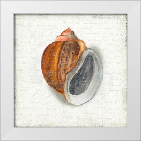 Seashell Portrait I White Modern Wood Framed Art Print by Wilson, Aimee