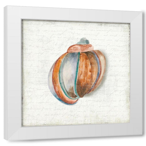 Seashell Portrait II White Modern Wood Framed Art Print by Wilson, Aimee