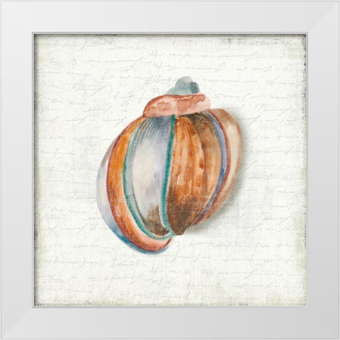 Seashell Portrait II White Modern Wood Framed Art Print by Wilson, Aimee