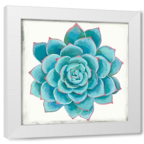 Pastel Succulent II White Modern Wood Framed Art Print by Wilson, Aimee