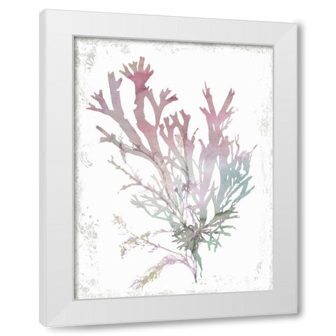 Pink Coral  White Modern Wood Framed Art Print by Wilson, Aimee