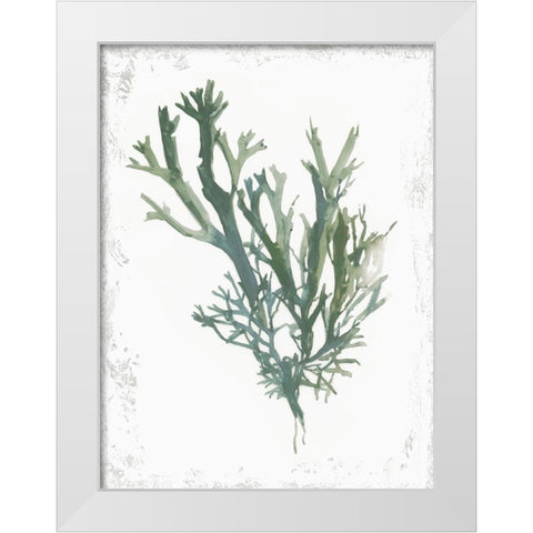 Emerald Coral I  White Modern Wood Framed Art Print by Wilson, Aimee