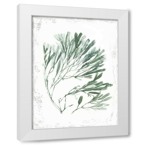 Emerald Coral II  White Modern Wood Framed Art Print by Wilson, Aimee